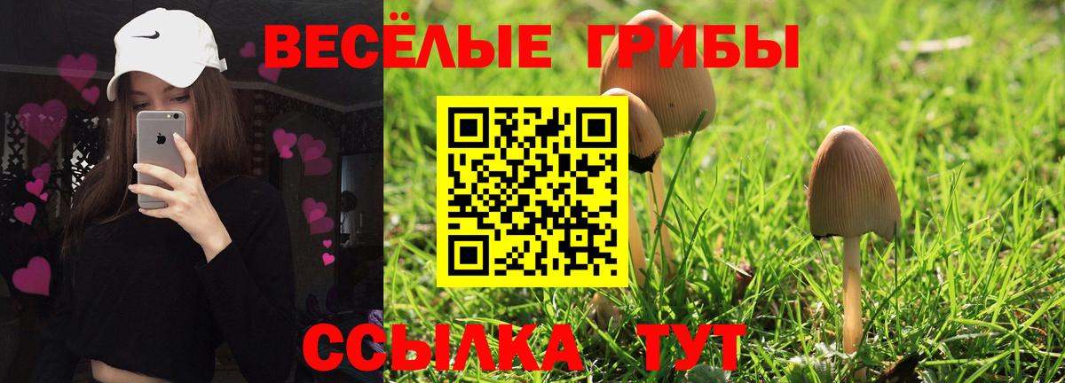 Галлюциногенные грибы GOLDEN TEACHER  где можно купить   Белебей  Галлюциногенные грибы ЛСД  Вход с VPN 